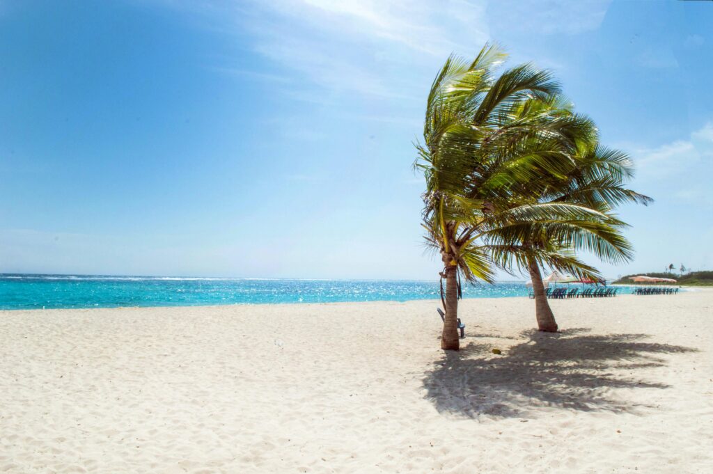 pexels-photo-1049298-1049298 Serene tropical beach scene in La Luisa, Venezuela, featuring palm trees and clear blue waters.